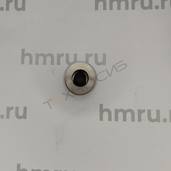 Поршень с кольцами (PTFE) для LPF/PPF-100(T) Техно-Сиб - Купить с доставкой по всей России 2