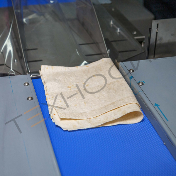 Горизонтальная упаковочная машина DXDZ-600XD (3 servo, лент. 280 мм, рег. форм., min bag L 130, H max. 65, трансп.попереч.запайки) Техно-Сиб - Купить с доставкой по всей России 2