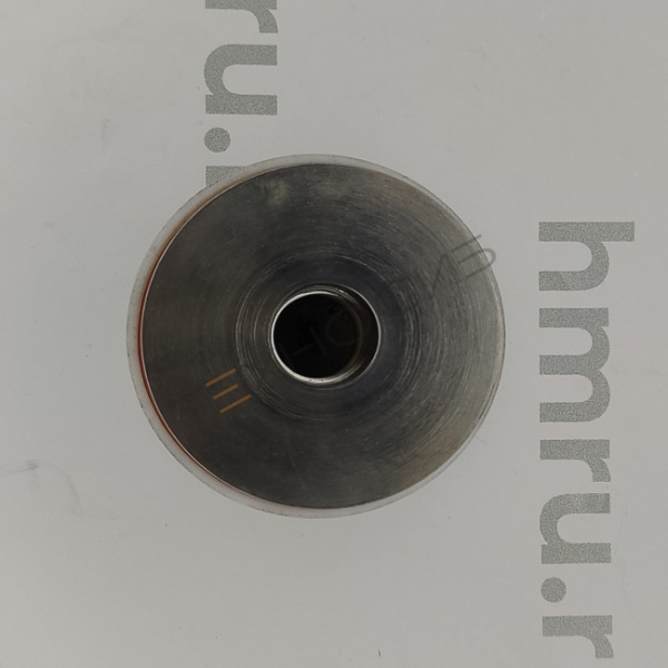 Поршень с кольцами (PTFE) для LPF/PPF-500(T) Техно-Сиб - Купить с доставкой по всей России 2